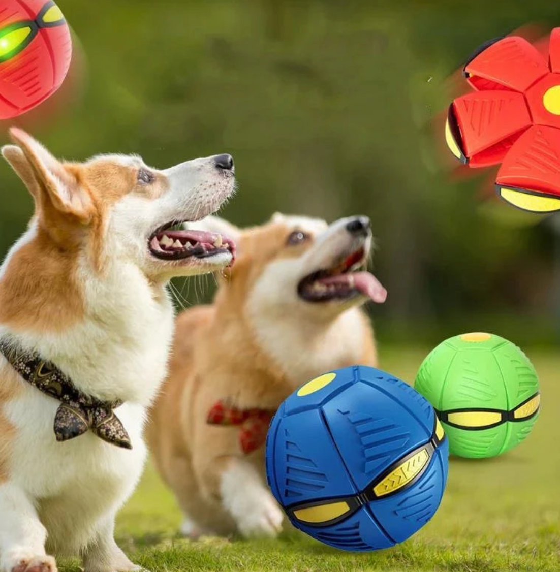 Pelota Juguete Voladora Para Mascotas